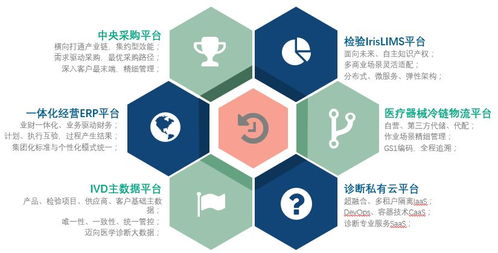 深化科技賦能，點燃合作新引擎——浙江·紹興 “迪安診斷”攜手“平安醫療”，共鑄技術服務新典范