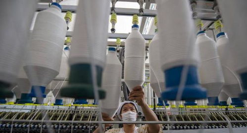 三重困境下的外貿工廠 接單、履約與收款之難，國內貿易轉型路在何方？